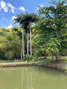 Ferme aquacole de Pointe Noire en Guadeloupe